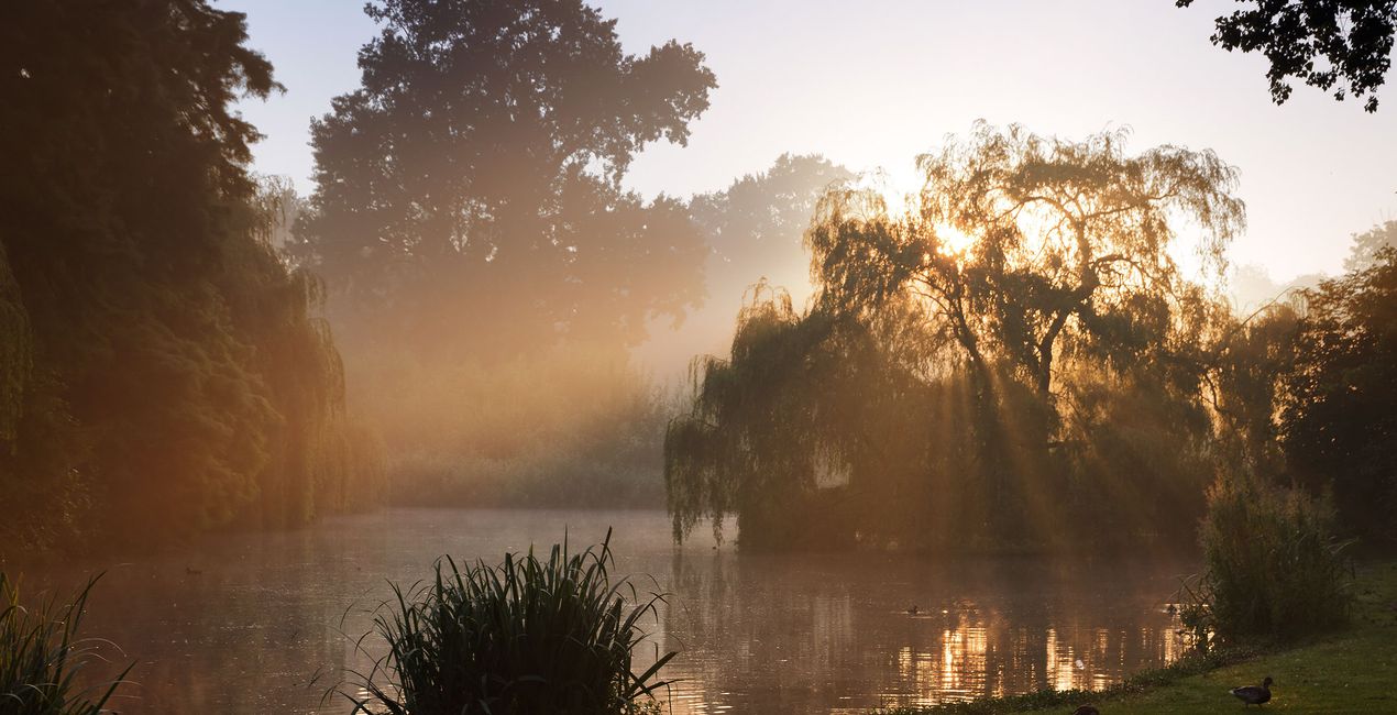 Dramatic Autumn Presets for Luminar | Marketplace(43)