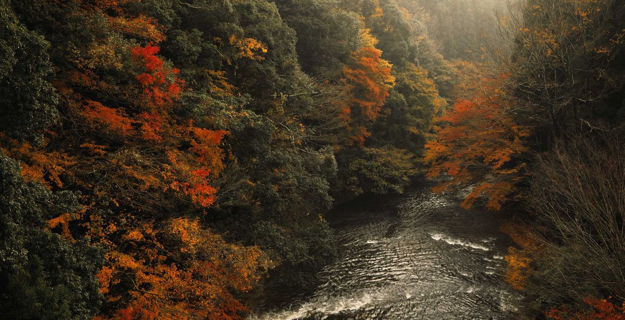 Dramatic Autumn Presets for Luminar | Marketplace(50)