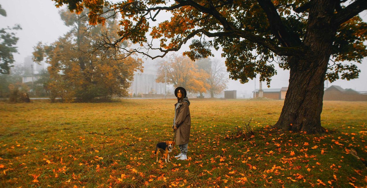 Dramatic Autumn Presets for Luminar | Marketplace(40)