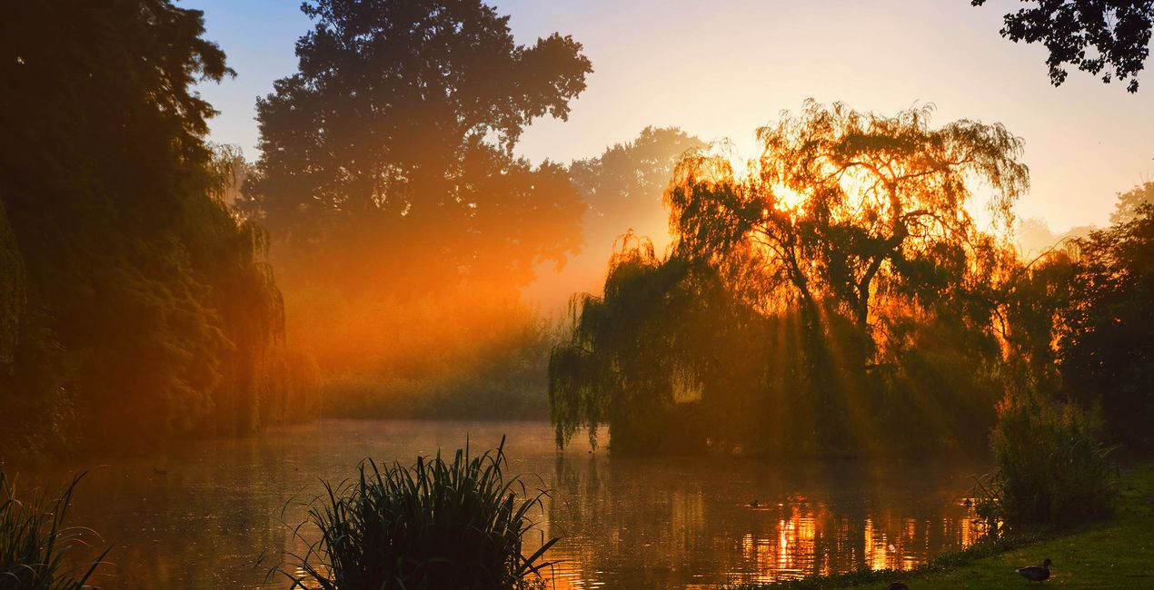 Dramatic Autumn Presets for Luminar | Marketplace(44)