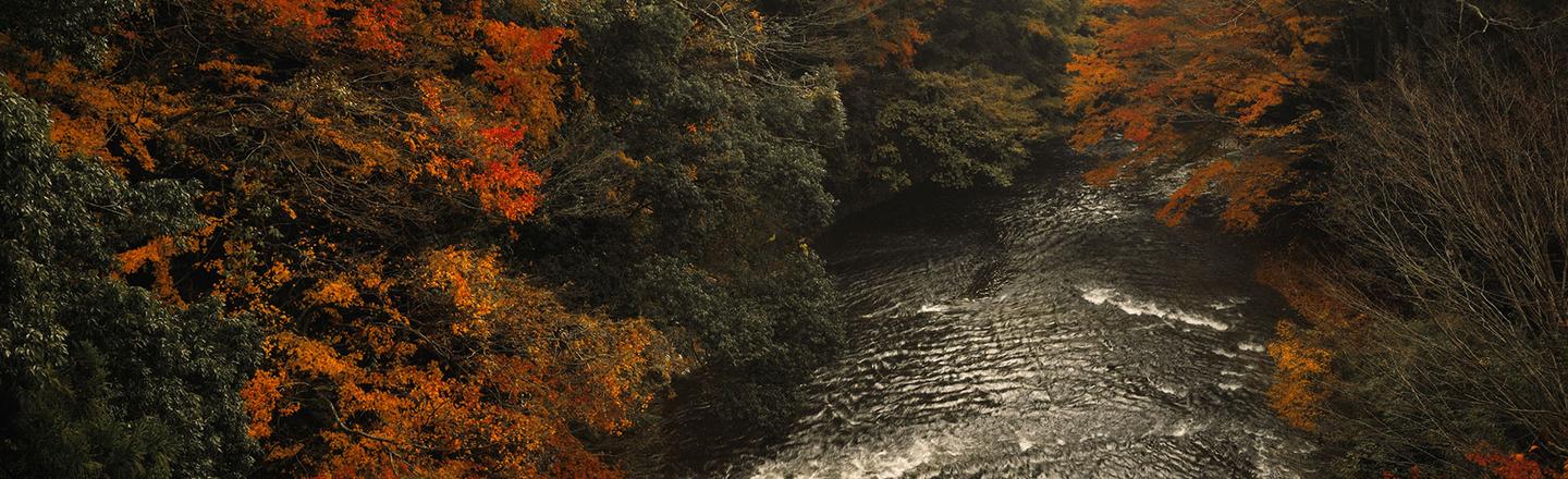 Dramatic Autumn — slide 3