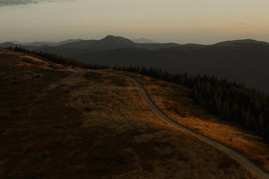 Moody Autumn LUTs image