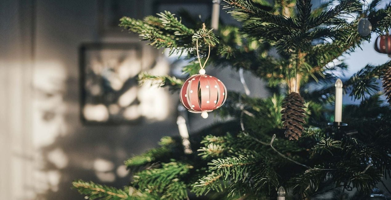 Christmas Charm Presets(44)