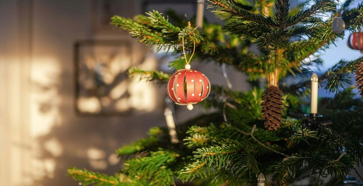 Christmas Charm Presets(43)
