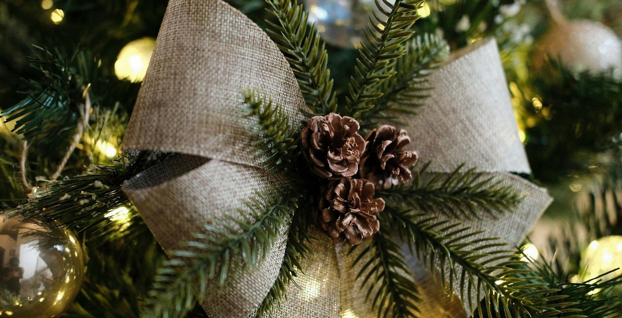 Christmas Charm Presets(45)