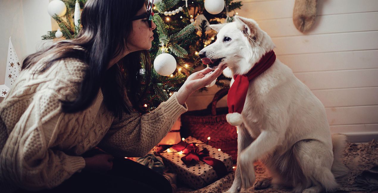 Winter Magic LUTs for your photographs(44)
