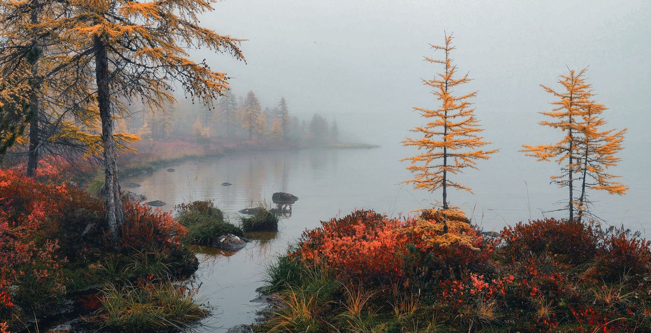 Foggy Trails Presets for Luminar Neo | Marketplace(50)