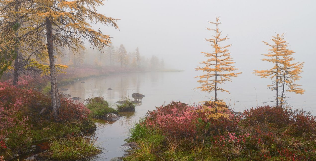 Foggy Trails Presets for Luminar Neo | Marketplace(49)