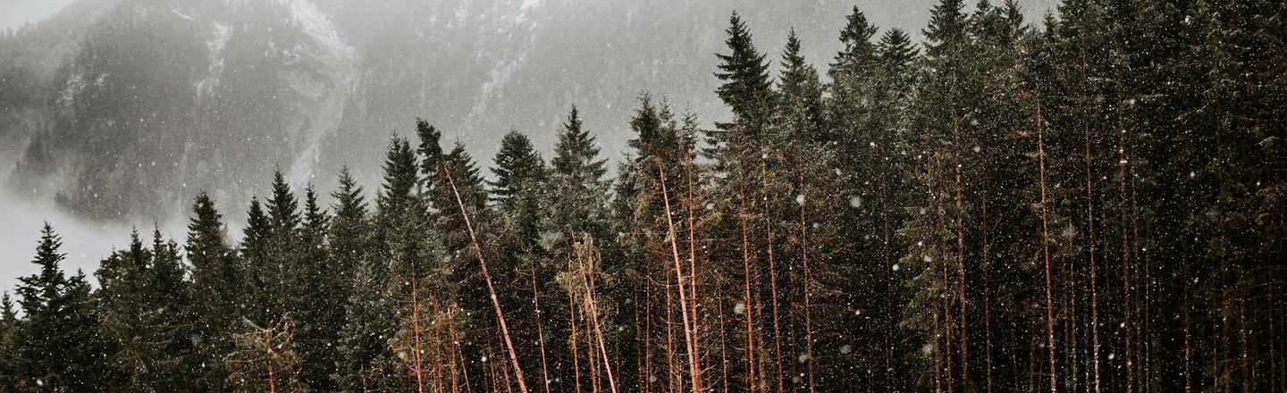 Foggy Trails — slide 3