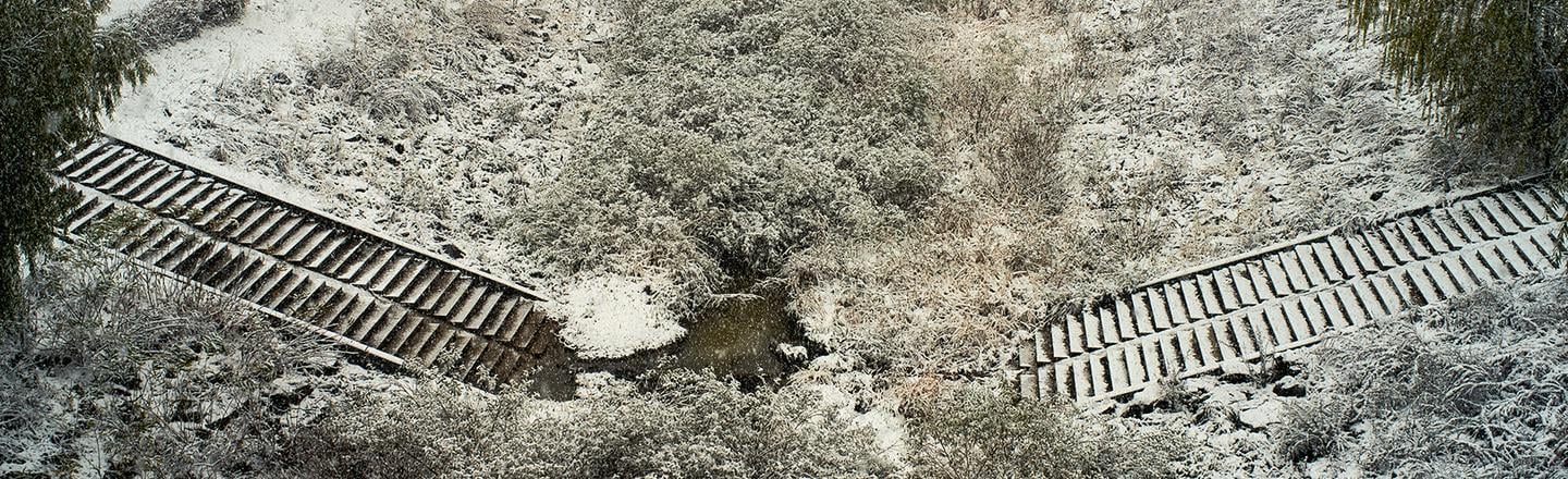 Snowcapped Trees — slide 3
