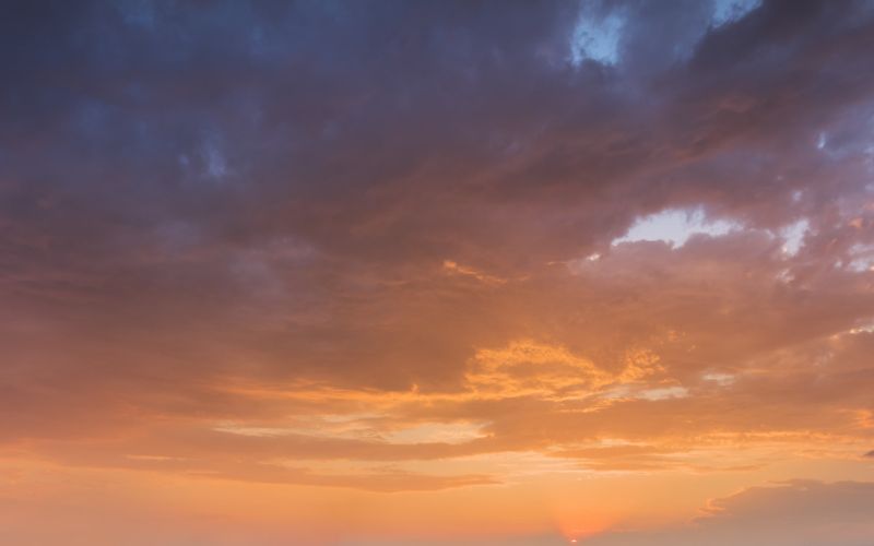 Skies included in the pack(6)