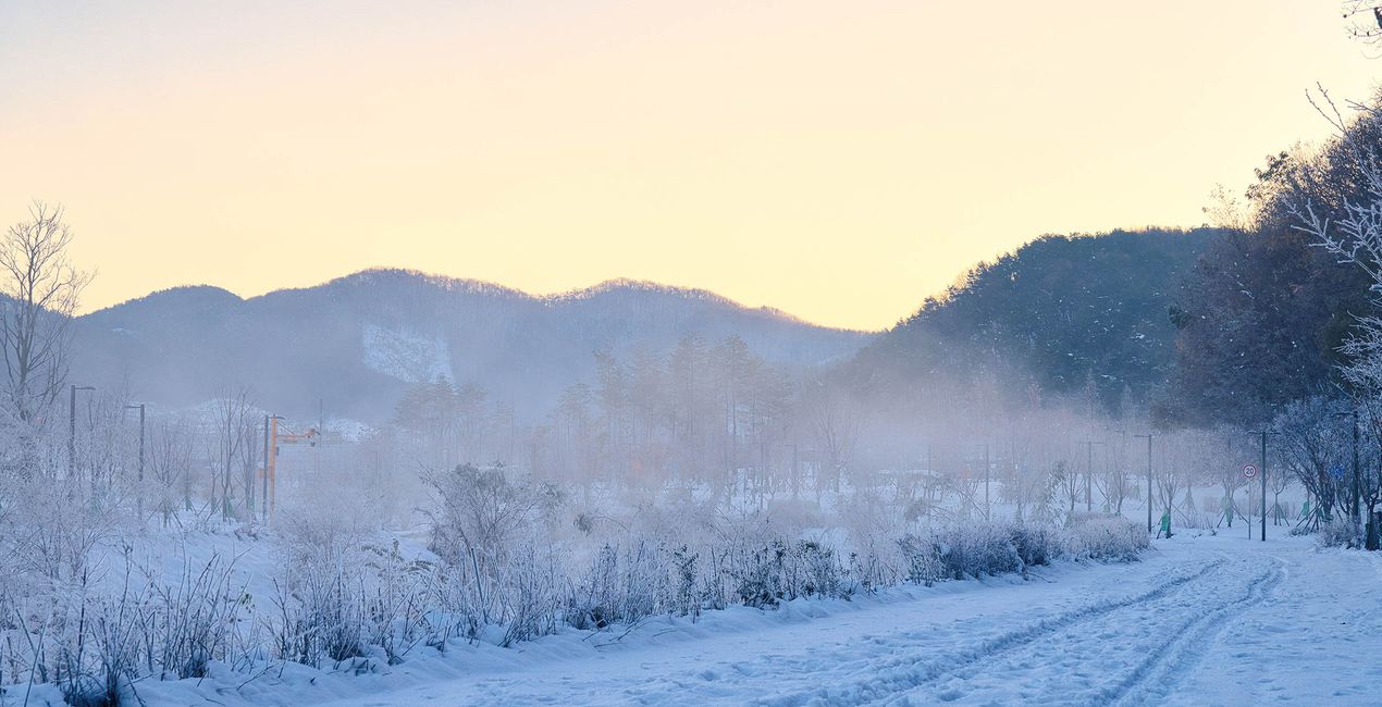 Snowy Mornings Presets(40)