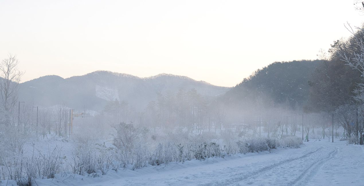 Snowy Mornings Presets(39)