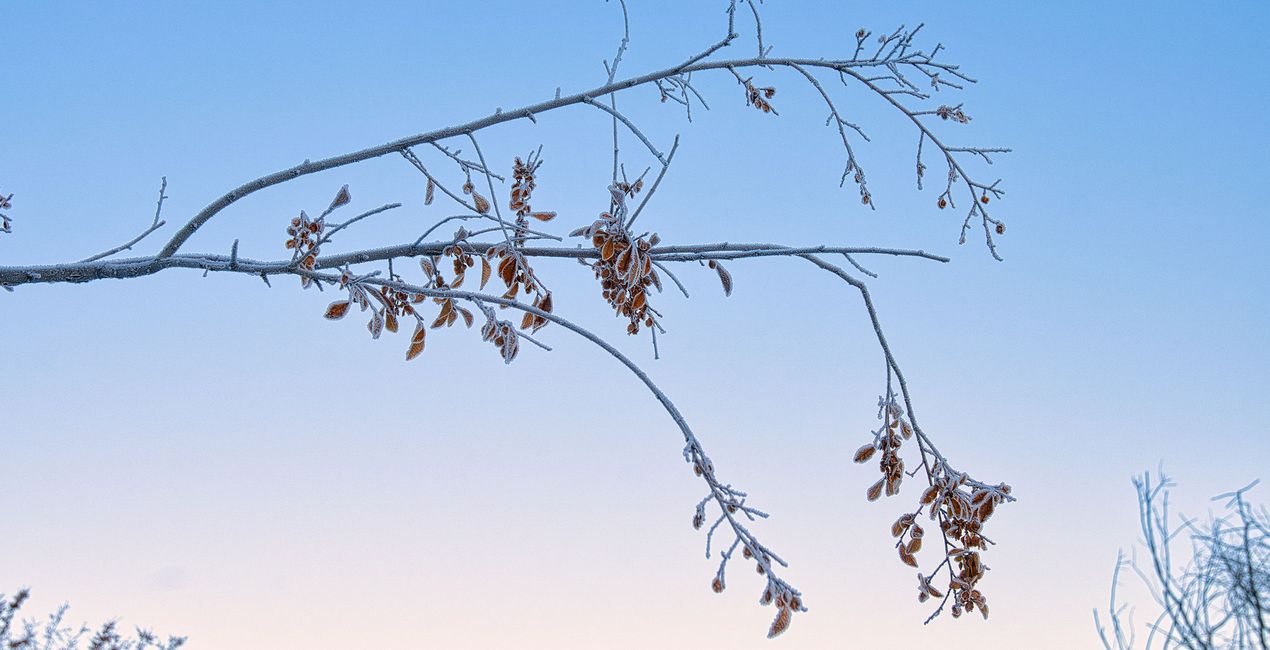 Snowy Mornings Presets(44)