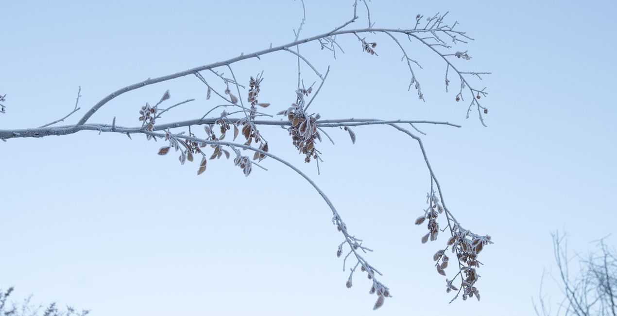 Snowy Mornings Presets(43)