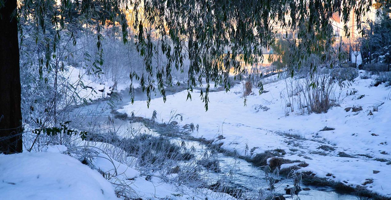 Snowy Mornings Presets(46)