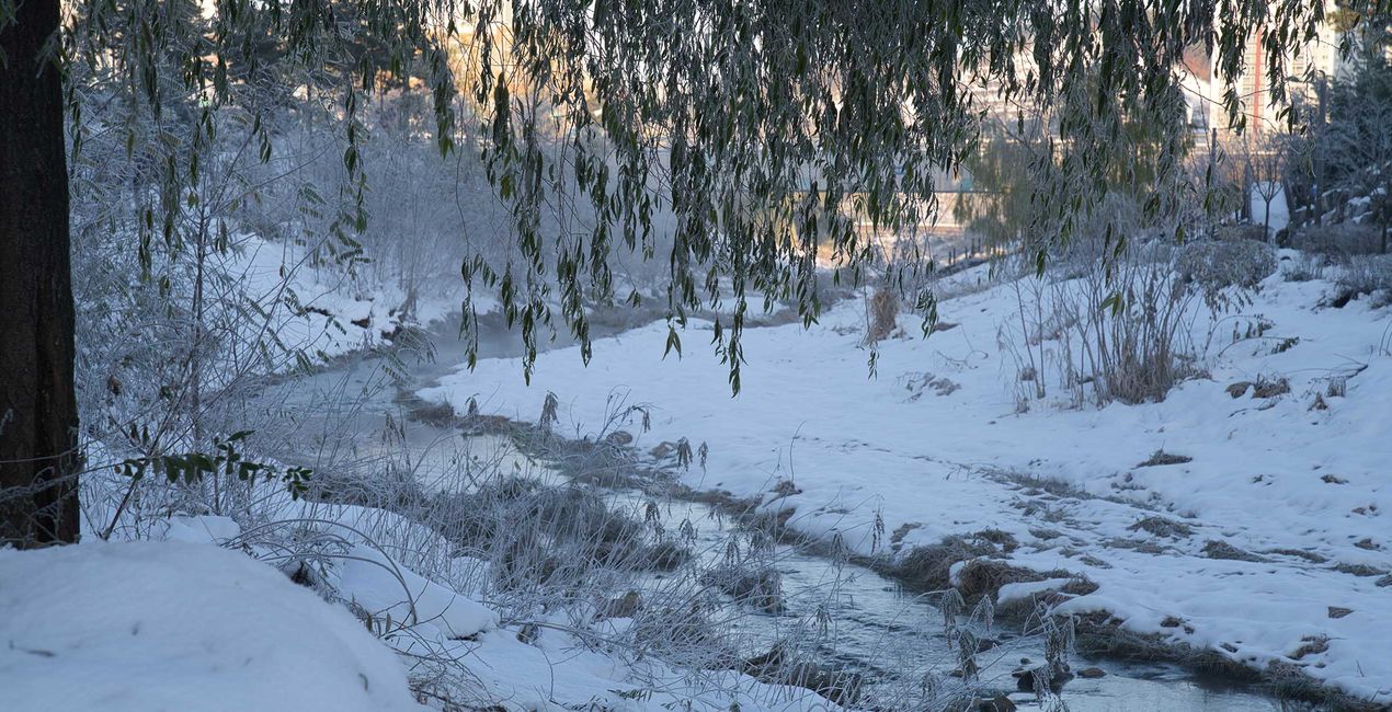 Snowy Mornings Presets(45)