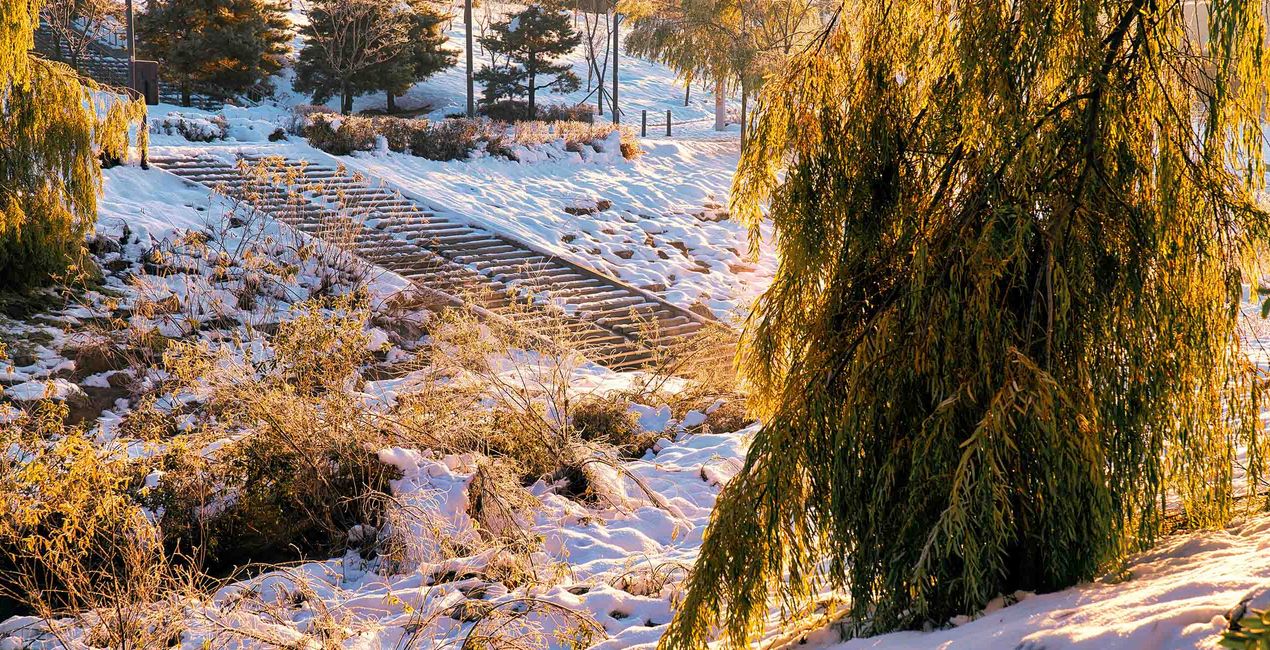 Snowy Mornings Presets(50)