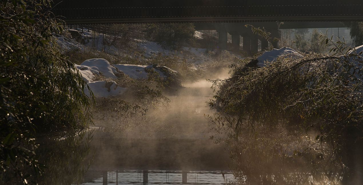 Snowy Mornings Presets(41)