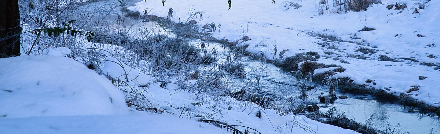 Snowy Mornings — slide 2
