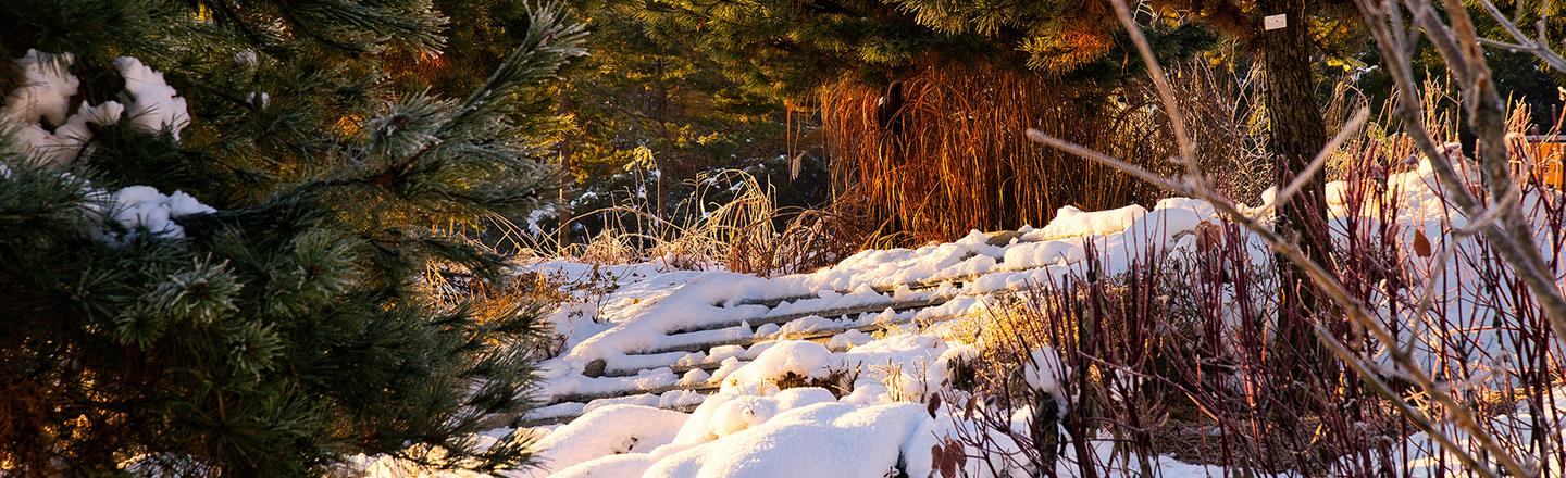 Snowy Mornings — slide 3