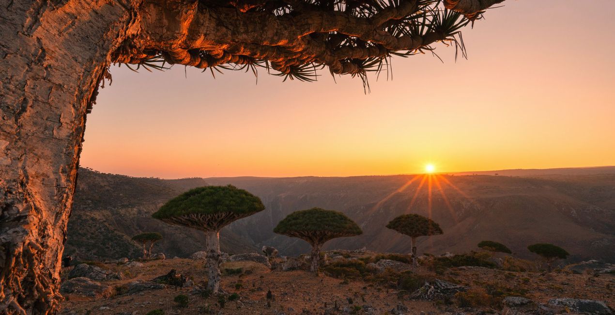 Dynamic Landscapes Presets for Luminar | Marketplace(50)