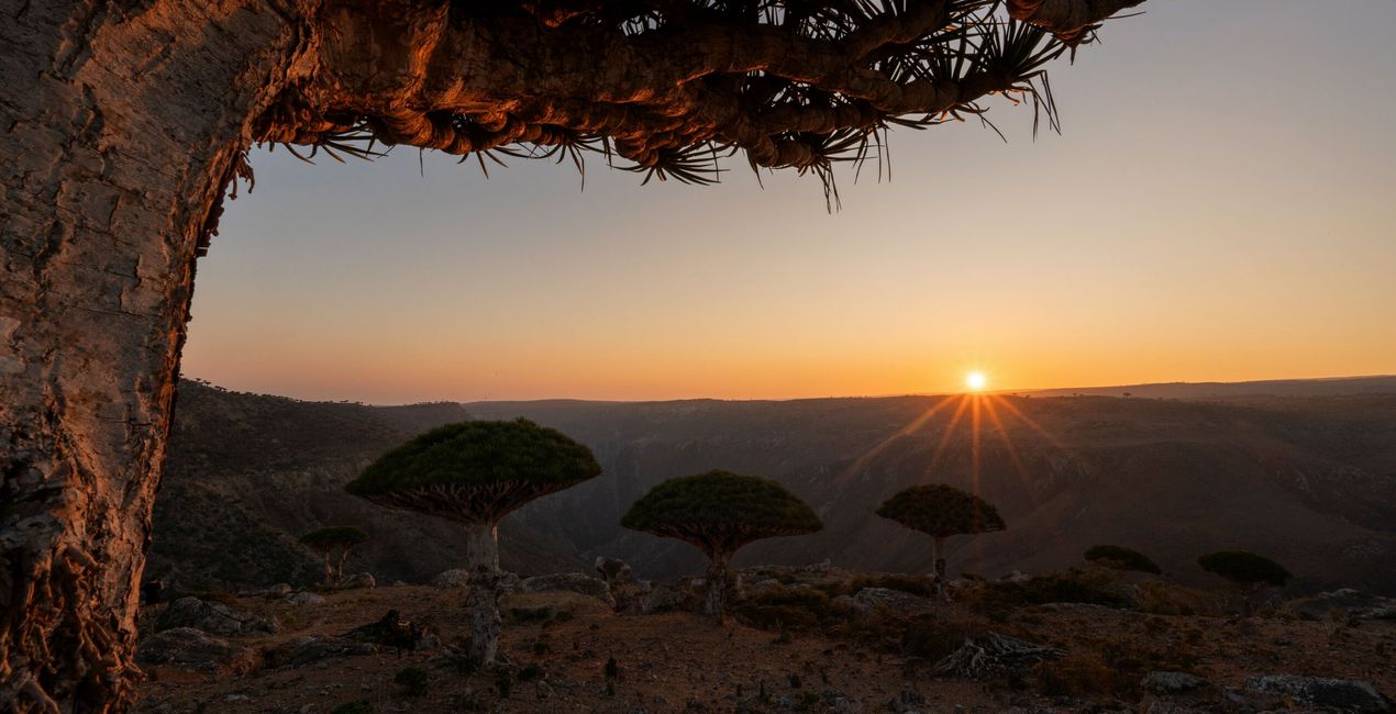 Dynamic Landscapes Presets for Luminar | Marketplace(49)