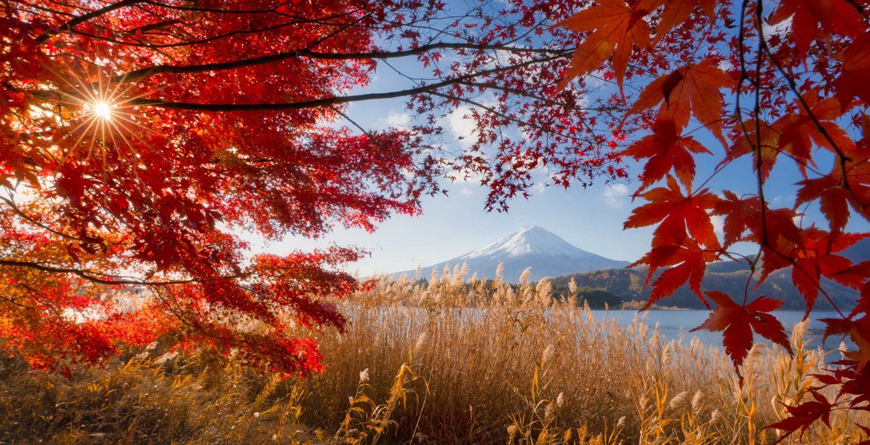Préréglages Rêve d'Automne au Japon pour Luminar | Marketplace(45)
