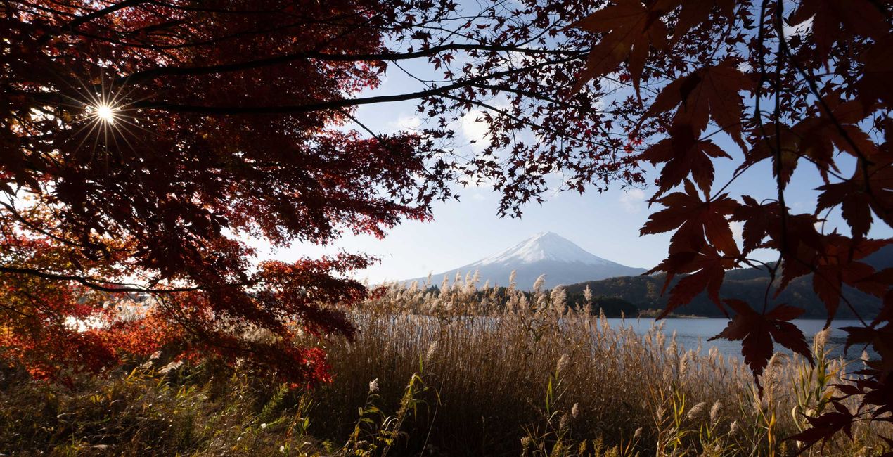 Préréglages Rêve d'Automne au Japon pour Luminar | Marketplace(44)
