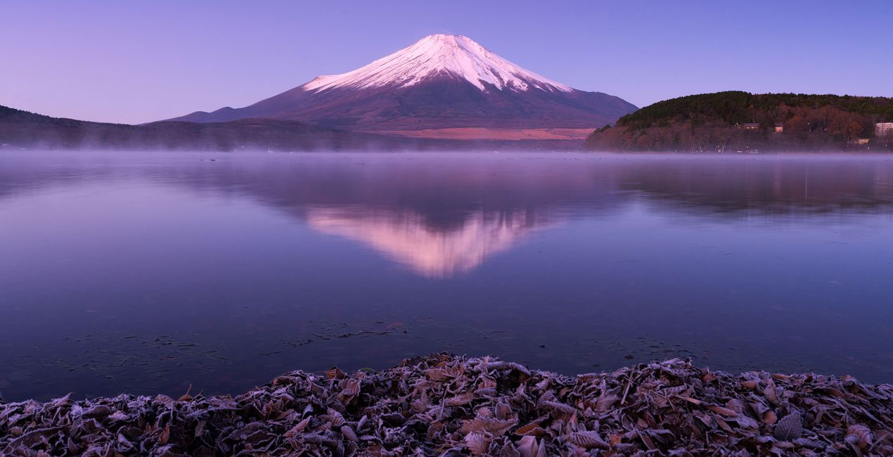 Préréglages Rêve d'Automne au Japon pour Luminar | Marketplace(51)