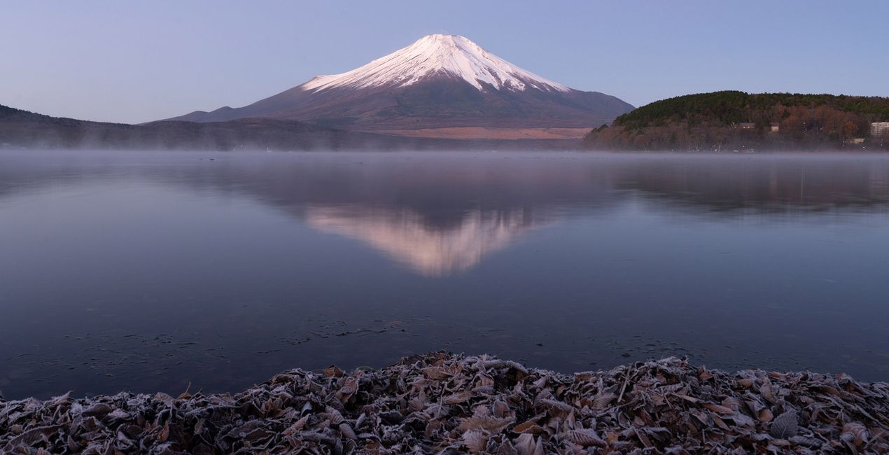 Préréglages Rêve d'Automne au Japon pour Luminar | Marketplace(50)