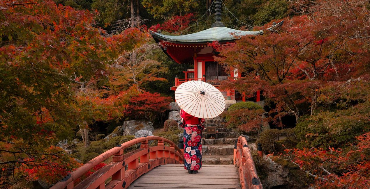 Préréglages Rêve d'Automne au Japon pour Luminar | Marketplace(47)
