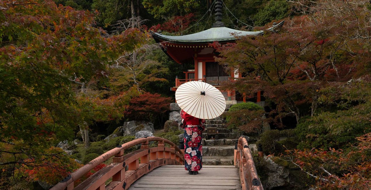 Préréglages Rêve d'Automne au Japon pour Luminar | Marketplace(46)