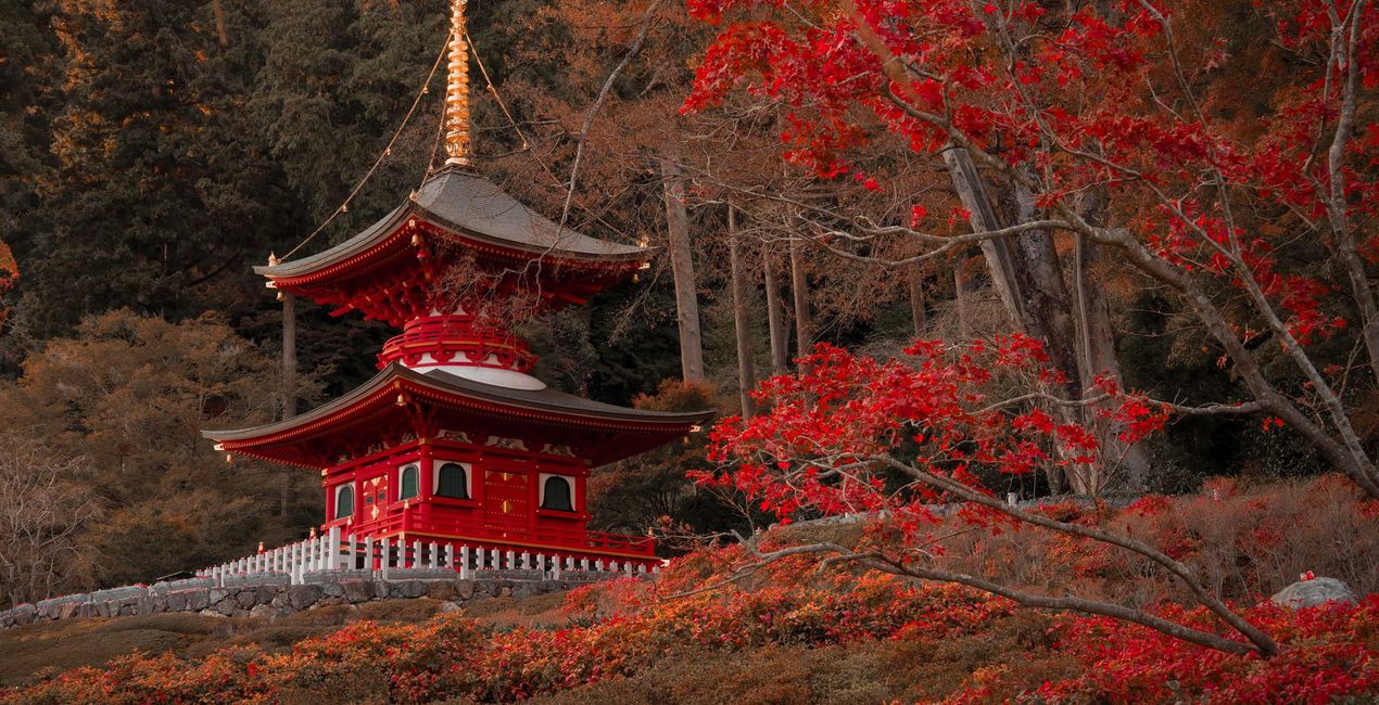 Préréglages Rêve d'Automne au Japon pour Luminar | Marketplace(41)