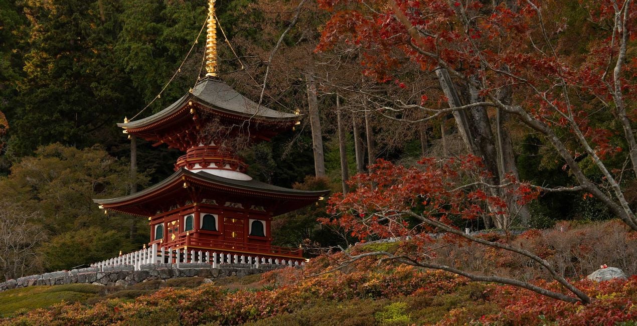 Préréglages Rêve d'Automne au Japon pour Luminar | Marketplace(40)