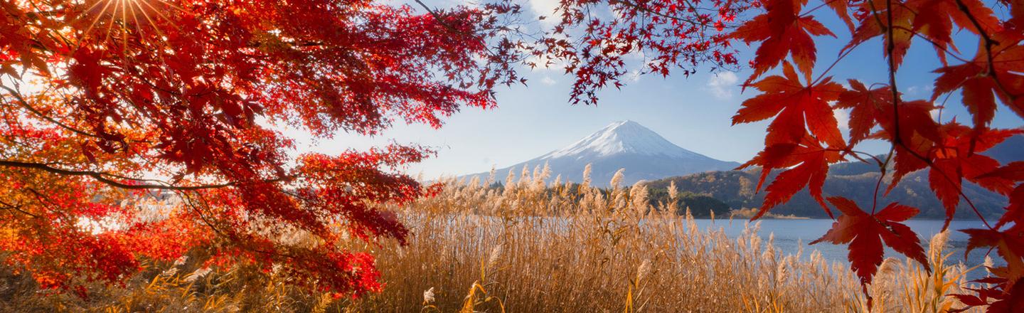 Japan Autumn Dream — slide 1