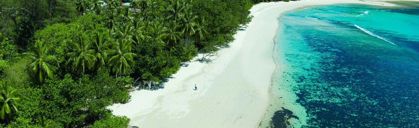Tropical Journey — slide 3