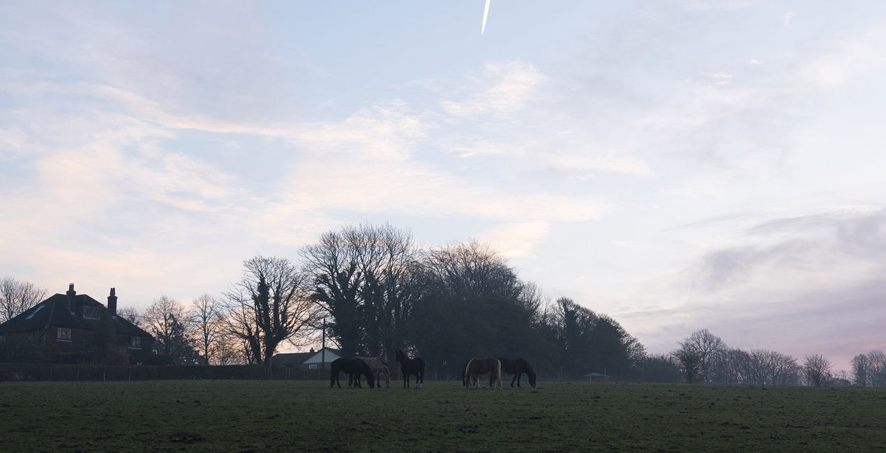 Countryside Morning Presets for Luminar | Marketplace(45)