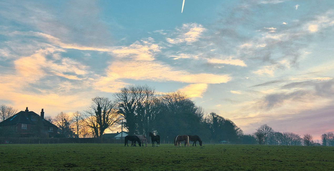 Countryside Morning Presets for Luminar | Marketplace(46)