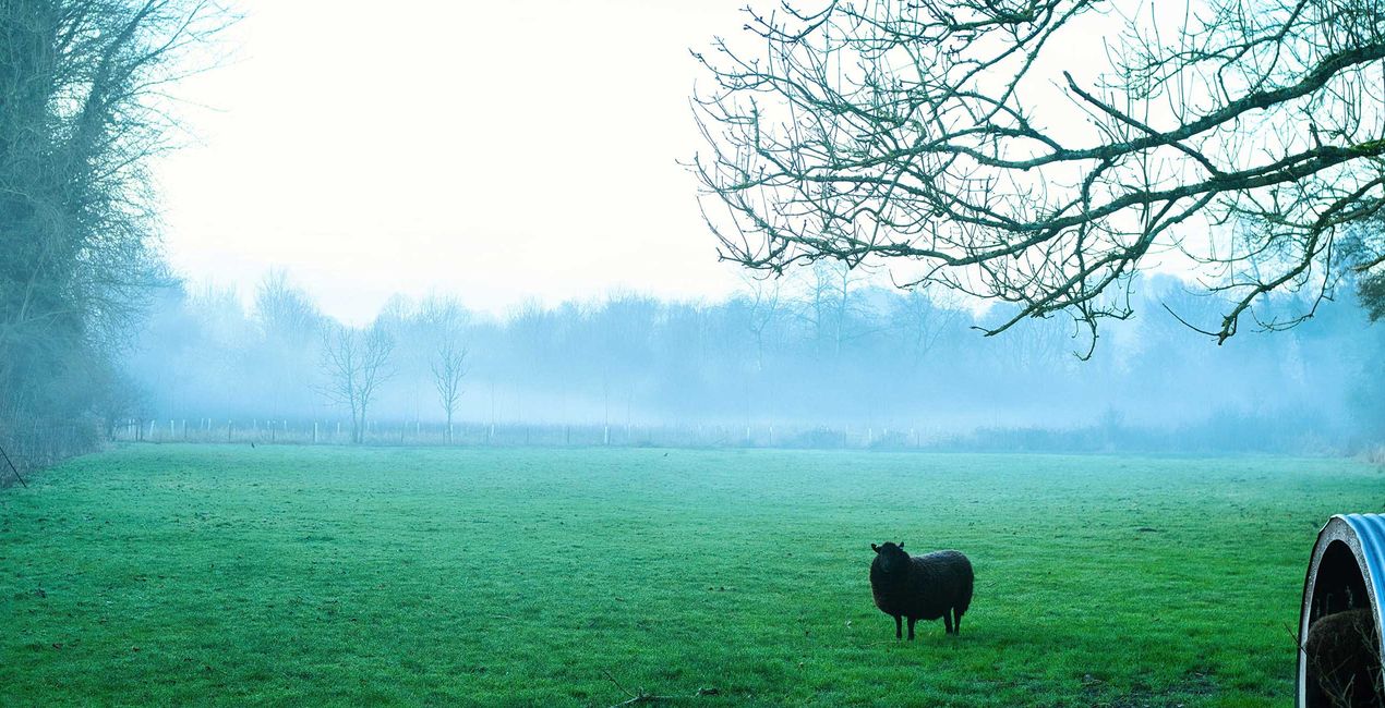 Countryside Morning Presets for Luminar | Marketplace(40)