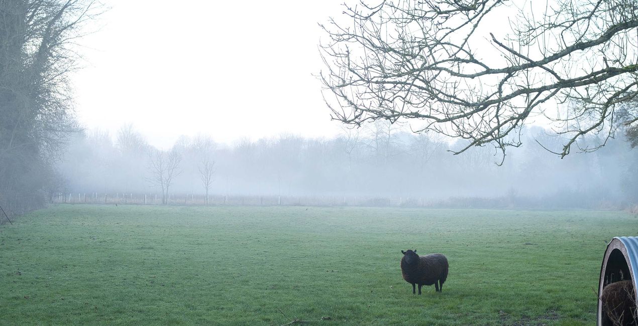 Countryside Morning Presets for Luminar | Marketplace(39)