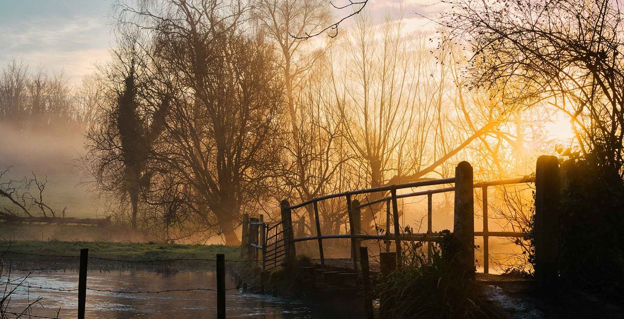 Countryside Morning Presets for Luminar | Marketplace(50)