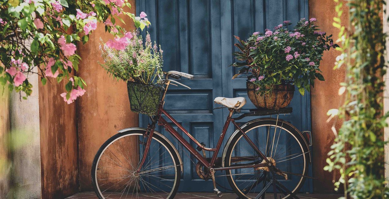 Color Crush Presets for Luminar | Marketplace(46)
