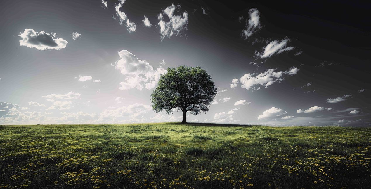 Infinite Fade LUTs for your phographs(48)