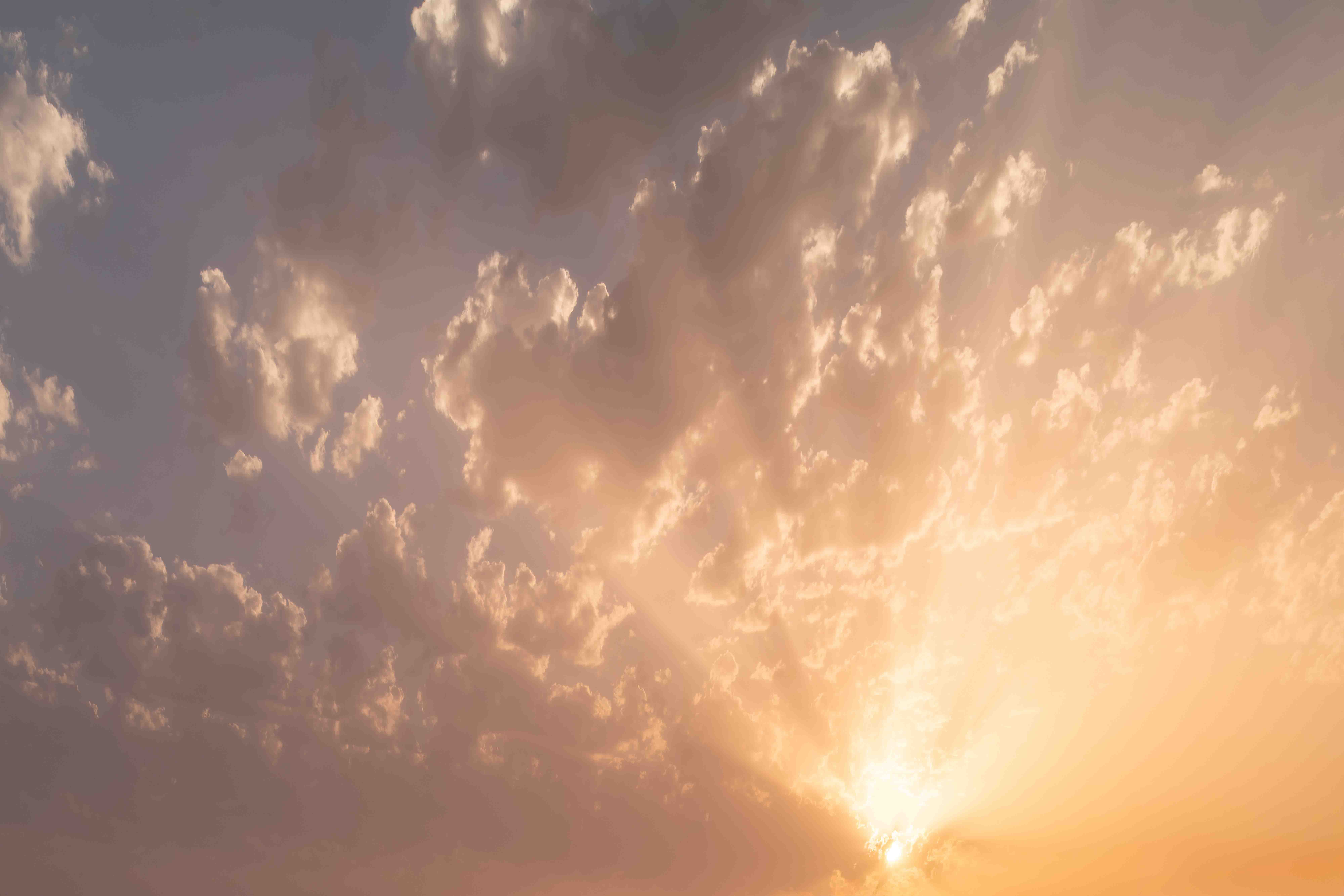 Dusk Dreams Skies for your photographs(58)