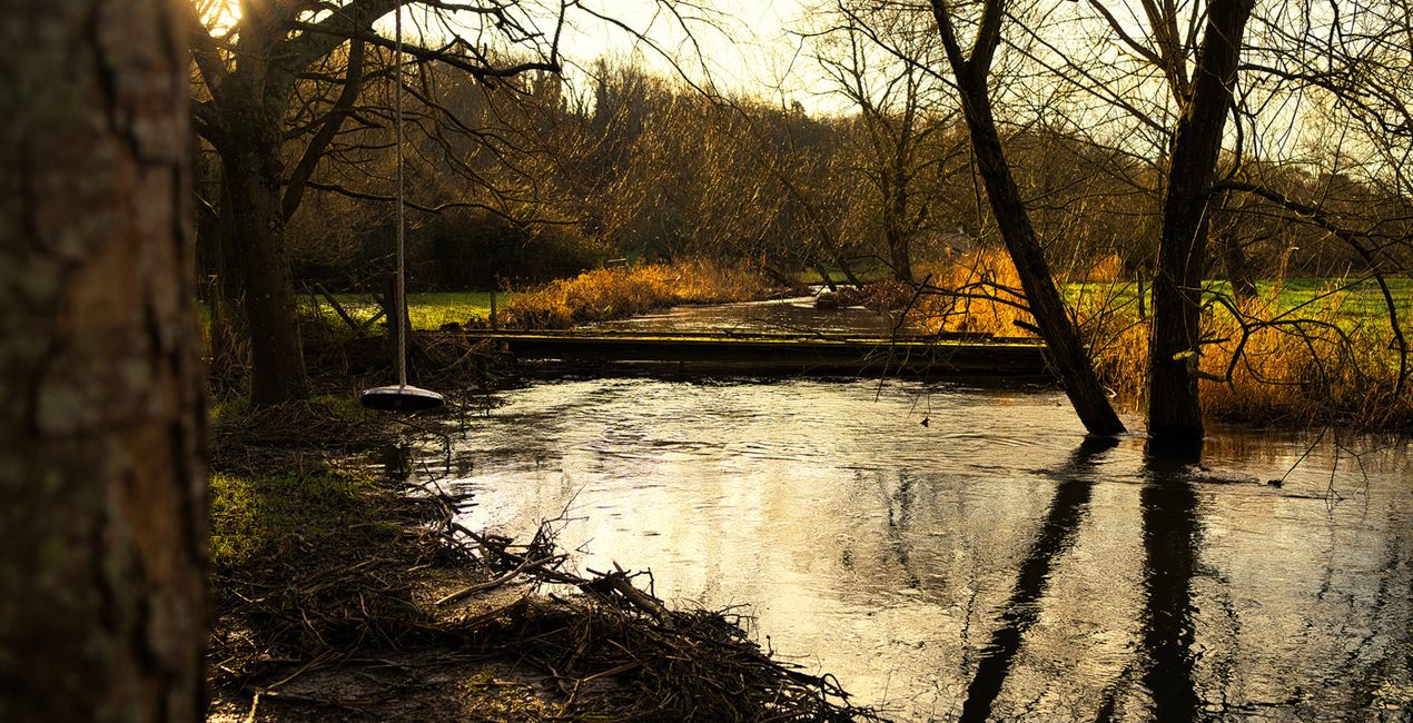 Countryside Walks Presets for Luminar | Marketplace(50)