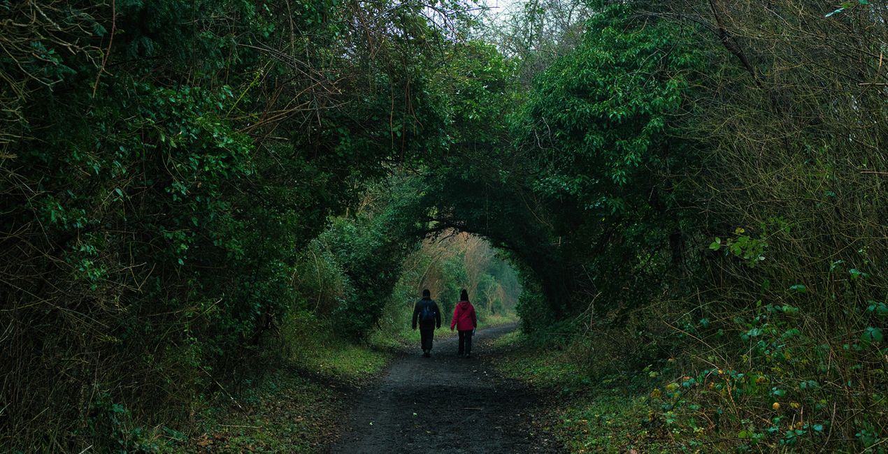 Countryside Walks Presets for Luminar | Marketplace(46)