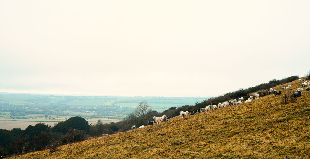 Countryside Walks Presets for Luminar | Marketplace(48)