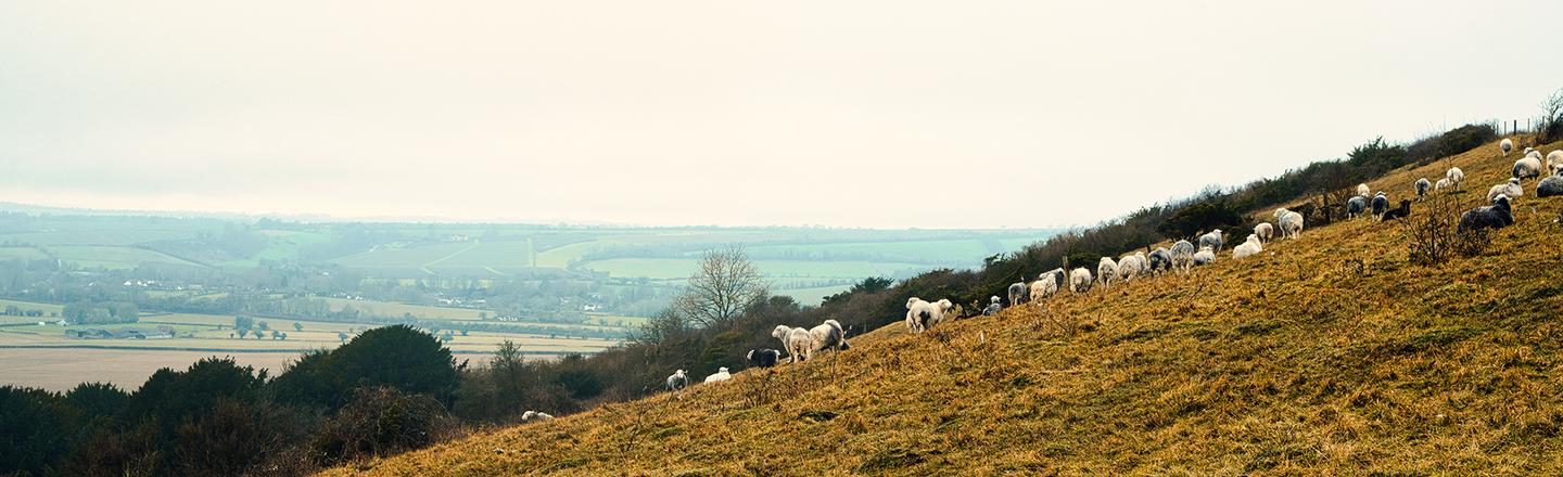 Countryside Walks — slide 3