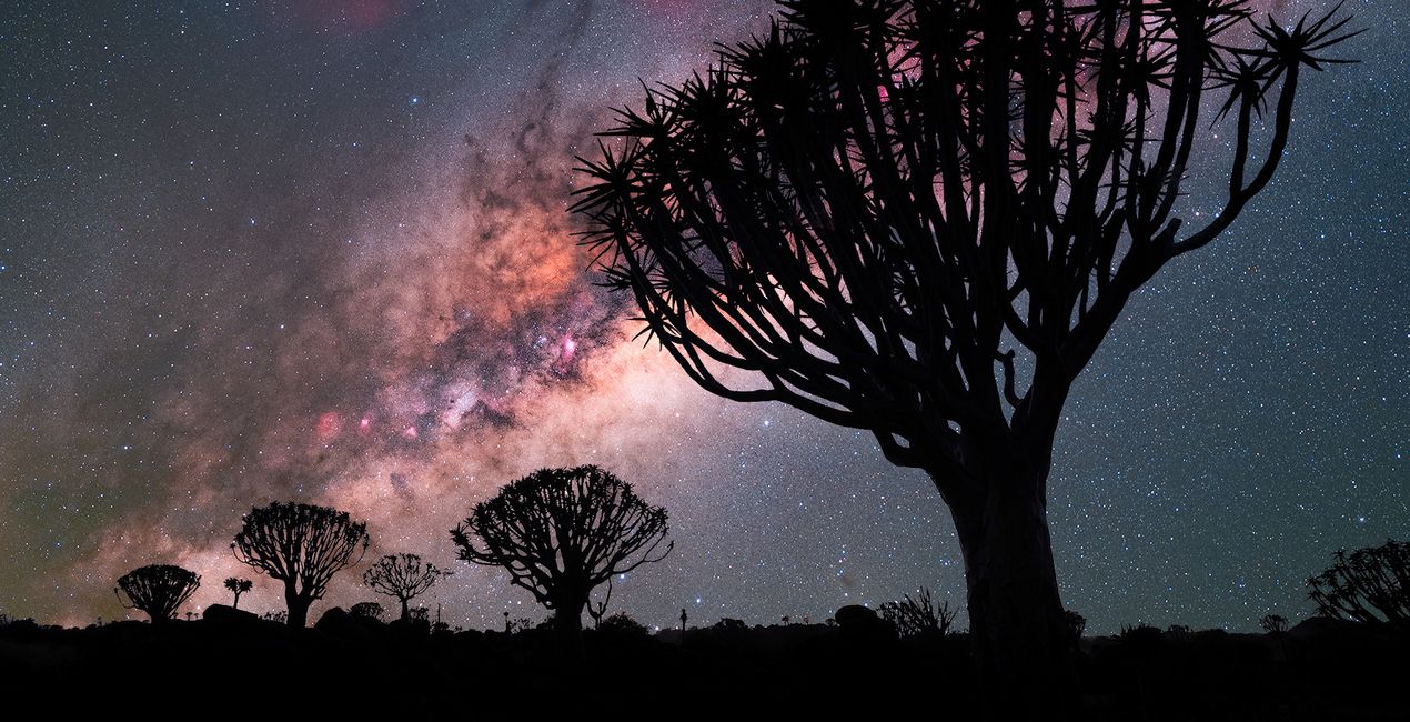 Galactic Starlight Skies for your photographs(44)
